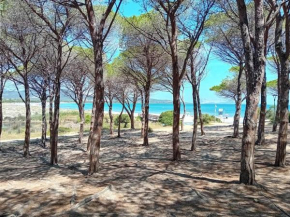 Suite Sardinia -Appartamento indipendente a Tanaunella Tanaunella
